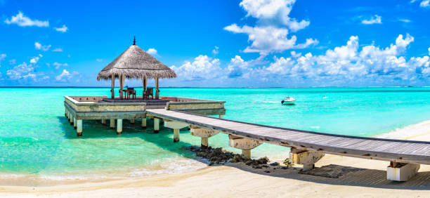Jetty at tropical paradise beach at Dhiffushi Holiday island at South Ari atoll, Maldives. Beautiful turquoise Indian ocean sea with white sand. Luxury travel holidays background. Property released.