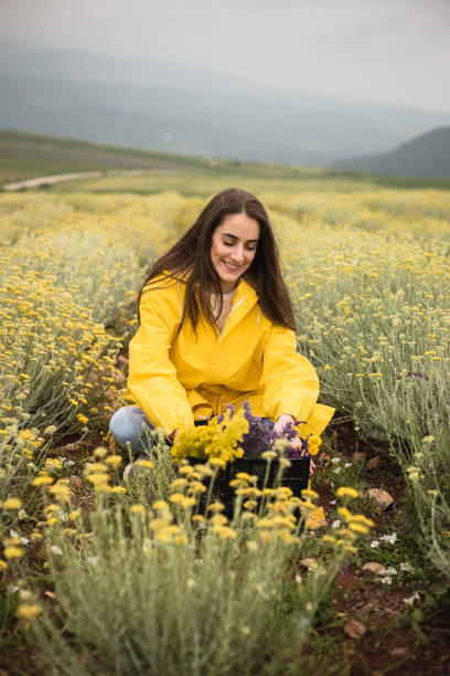 istock Young woman is putting herbs in a basket 1256378022