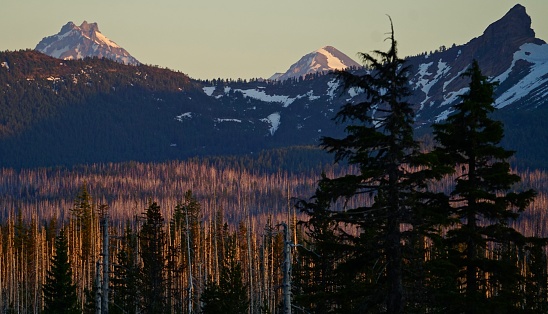 Central Oregon's Cascade Range.
Deschutes National Forest.
Mt. Washington Wilderness.
North Sister On The Left.