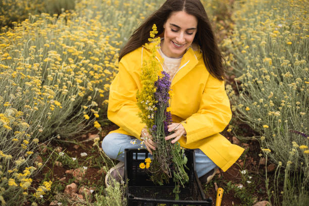 istock Young woman is picking herbs in a basket and smiling 1256379230