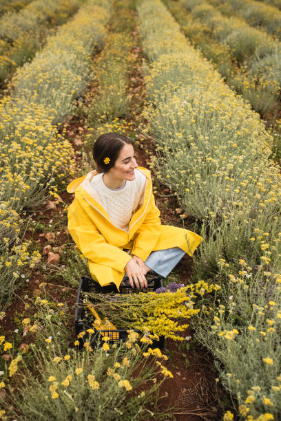 istock Young woman is sitting in herb field 1256379508