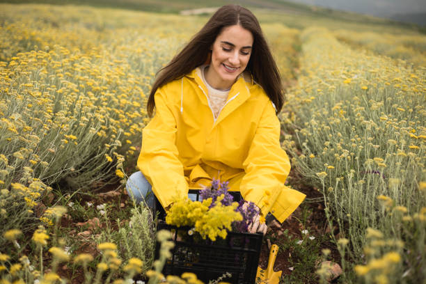 istock Young woman is putting herbs in a basket 1256380353