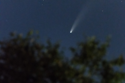 The Neowise comet from Seattle.