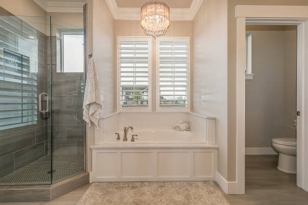istock Luxurious en suite shower and bathtub 1256382489