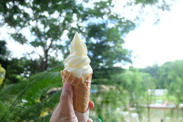 a fuoco selettivo una mano femminile che tiene un cono di gelato alla vaniglia con sfondo di natura verde in un'area giardino - close up women horizontal citrus fruit foto e immagini stock