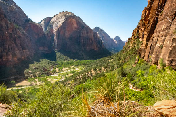 istock Zion National Park in Utah 1256385469