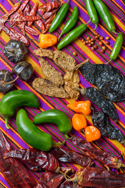 Chile peppers of Mexico, food ingredients and spices.