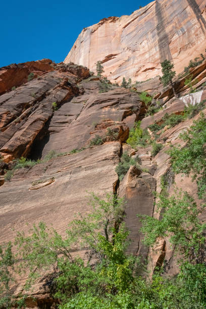 istock Zion National Park in Utah 1256387986