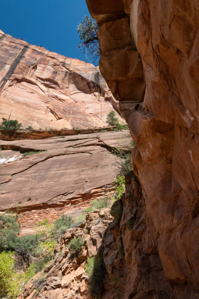 istock Zion National Park in Utah 1256388925