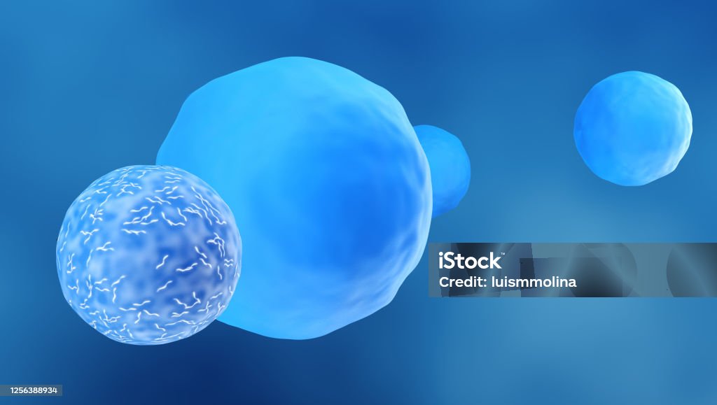 Killer T-Lymphocyte approaching a cancer cell Antigen Stock Photo