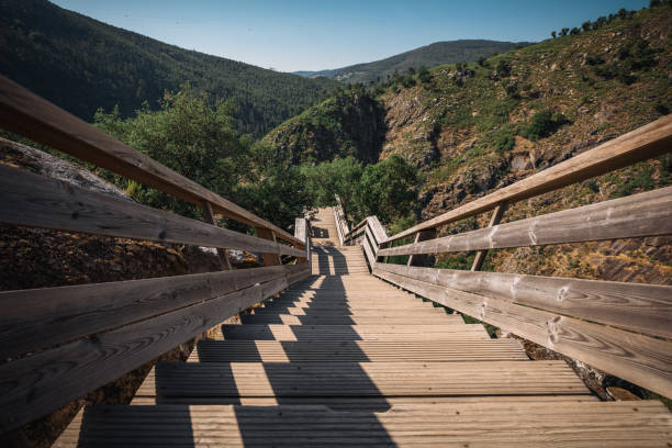 istock Paiva River Walking Gangway walkways. 1256390606