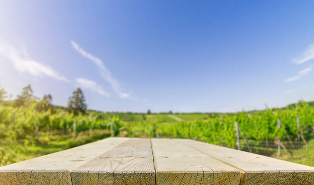 istock Wooden flat Tabletop against vineyard hill in late summer 1256391605