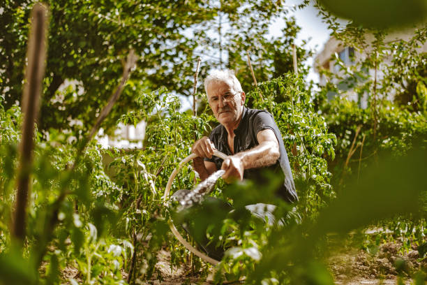 istock Senior farmer watering in the garden 1256395408