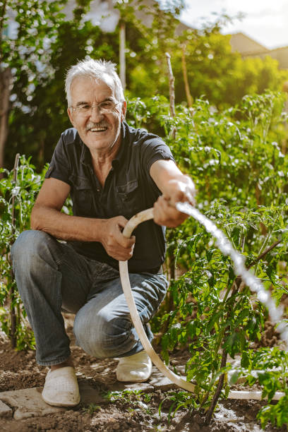 istock Senior farmer watering in the garden 1256396018
