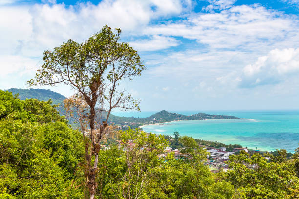 istock Koh Samui island, Thailand 1256398044