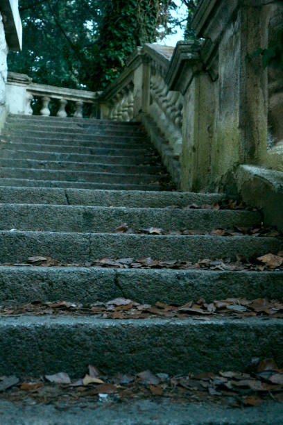 istock Old abandoned stairs. Gloomy exterior 1256404863