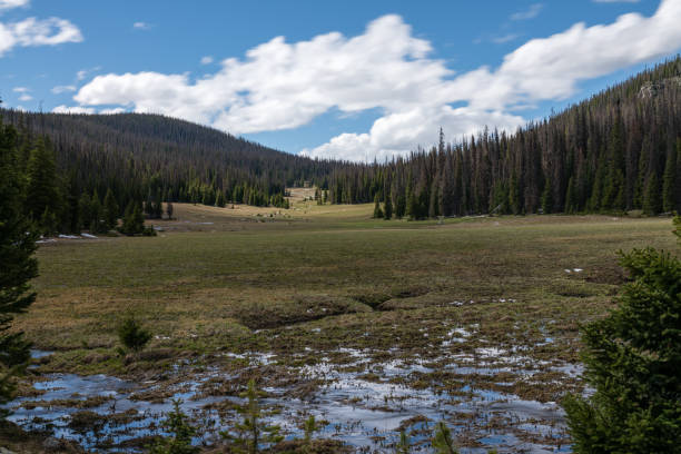 istock Long Meadows - Rocky Mountain National Park 1256405599