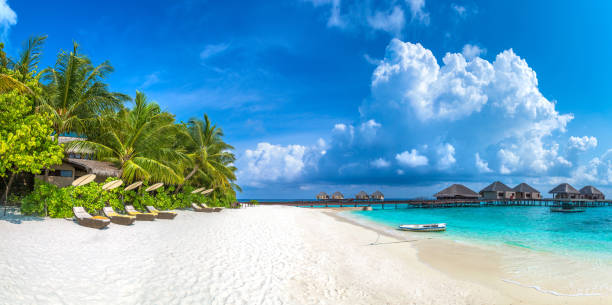 istock Wooden sunbed in the Maldives 1256407351