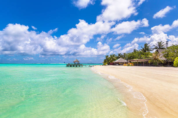 istock Tropical beach in the Maldives 1256407393