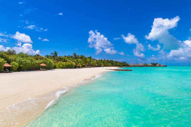 istock Tropical beach in the Maldives 1256407440