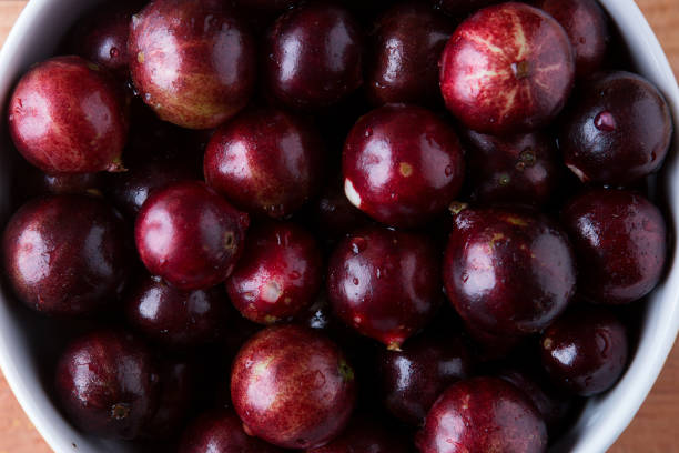 istock jaboticaba, typical Brazilian fruit in a pot on the table, top view 1256408890