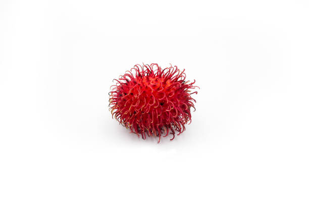 rambutan fresco, dolce e delizioso isolato su sfondo bianco. - rambutan foto e immagini stock