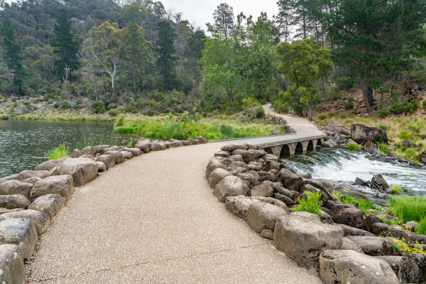 desfiladeiro de catarata em launceston, tasmânia, austrália - esk river - fotografias e filmes do acervo