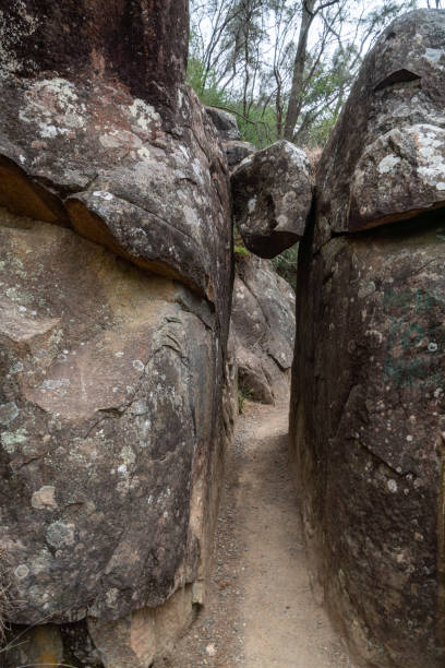 istock First Basin Track at Cataract Gorge in Launceston, Tasmania, Australia 1256419004