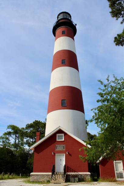 Assateague Lighthouse Assateague Lighthouse at Assateague Island National Seashore. assateague island national seashore photos stock pictures, royalty-free photos & images