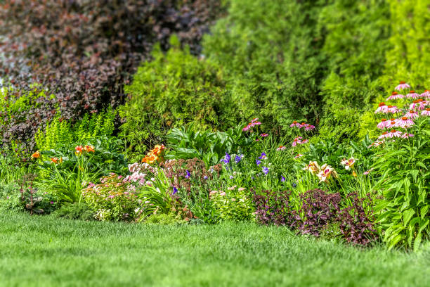 istock Landscaping of the backyard 1256419742