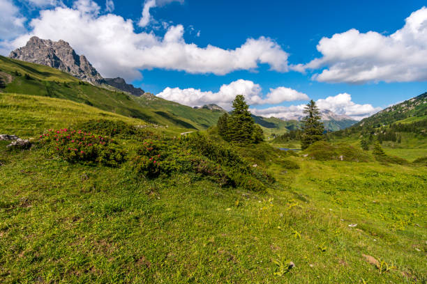 아름다운 레크켈렌 산맥에서 환상적인 하이킹 - kalbelesee 뉴스 사진 이미지