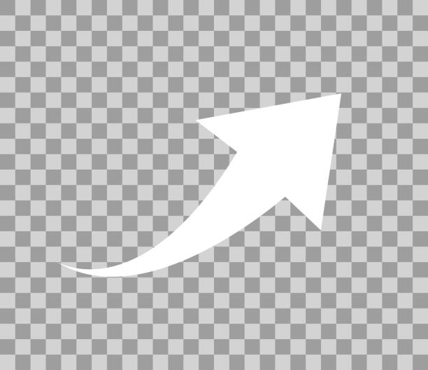 ilustrații de stoc cu ilustrație vectorială - spate de animal