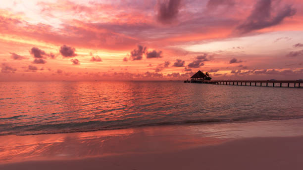 istock Tropical paradise beach at sunset, Maldives 1256431328