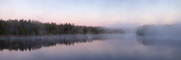istock forest lake with morning fog 1256431468