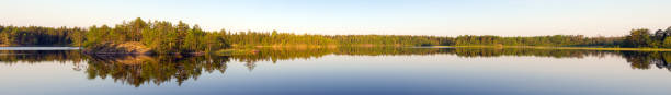 istock forest lake with an island 1256431497