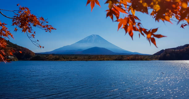 Autumn at Shojiko lake stock photo