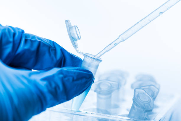 istock hand and scientific laboratory test tubes in a research laboratory. 1256435074