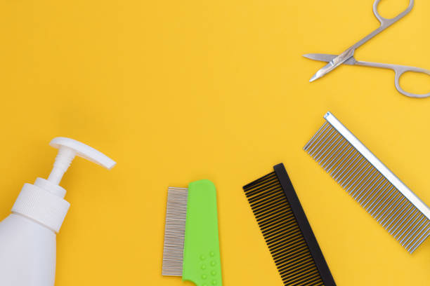 istock Classic grooming and hairdressing tools on a yellow background: lotion, soap, comb, scissors. Top view, copy space 1256435647