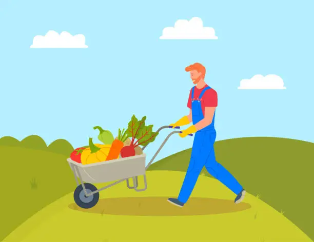 Vector illustration of Farming Man with Trolley Loaded with Pumpkins