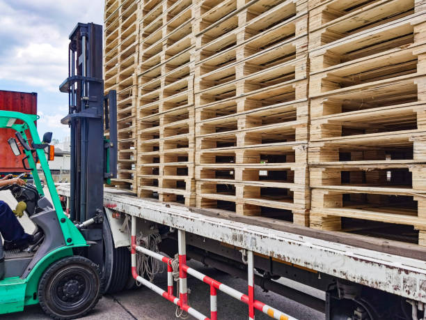 istock Worker driving forklift to loading and unloading wooden pallets from truck to warehouse cargo storage, shipment in logistics and transportation industrial, wood pallets stack 1256438089