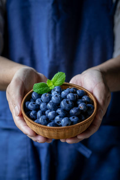 istock Man holds a wicker basket of blueberries. 1256445013