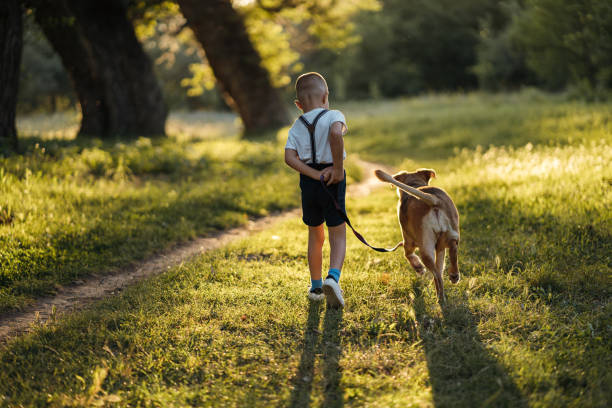 istock Boy in a walk with dog in nature 1256445316