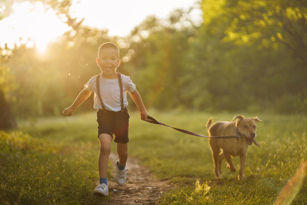 istock Cute boy running with dog in nature 1256445564