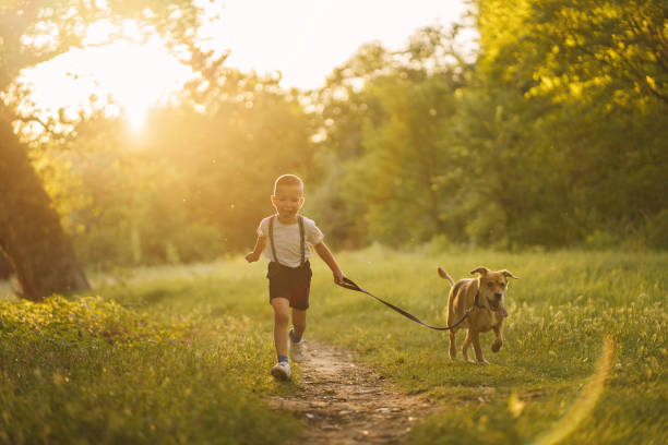 istock Cute boy running with dog in nature 1256445596