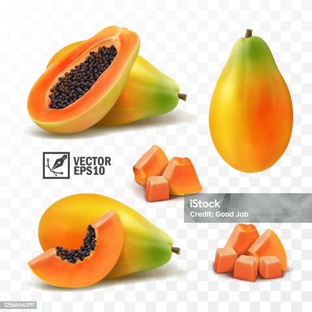 3d Realistic Transparent Isolated Vector Set Whole And Slice Of Papaya Fruit A Bunch Of Papaya - Arte vetorial de stock e mais imagens de Papaia