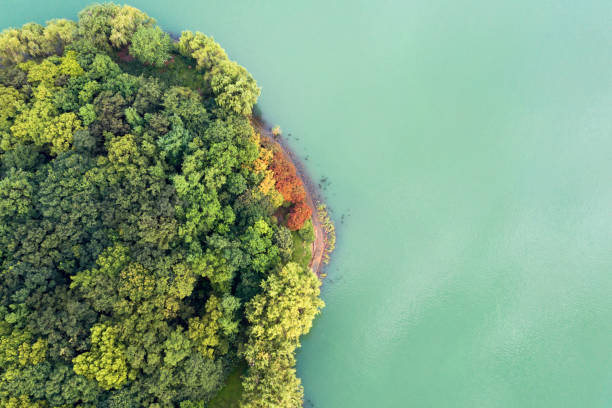 istock Looking down to the island in the lake. 1256446544