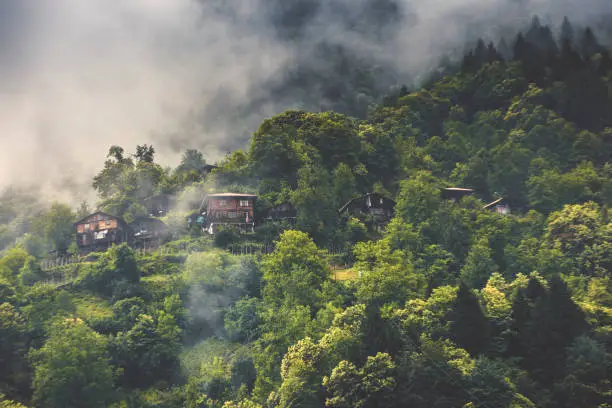 Landscape view of wooden mountain village houses among green trees on hill during foggy, rainy and cloudy weather in Camlihemsin, Rize, Karadeniz, Türkiye
