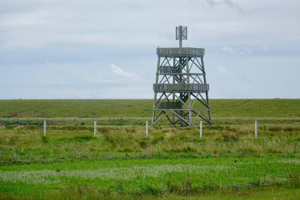 istock Bird watch tower in Serooskerke 1256447616