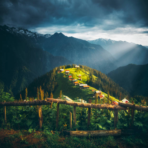 Landscape view of Pokut Plateau, Camlıhemsin, Rize, Turkey Beautful nature landscape view at Pokut Highland in Çamlıhemşin, Rize in Black sea region of Turkey on sunny summer morning Plateau stock pictures, royalty-free photos & images