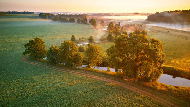istock Sunny summer mist morning. First sunrays over green meadow and field 1256447956